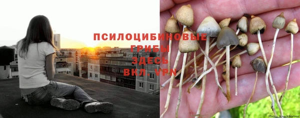кокаин колумбия Баксан