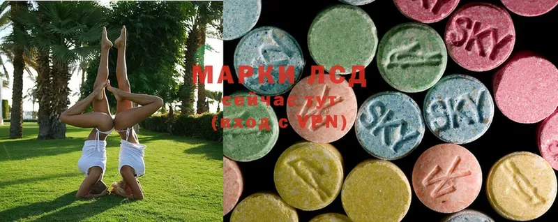 купить   Городовиковск  Лсд 25 экстази ecstasy 